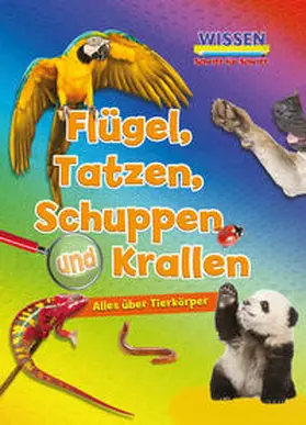 Owen |  Flügel, Tatzen, Schuppen und Krallen | Buch |  Sack Fachmedien