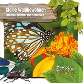 Twiddy |  Kleine Waldbewohner: Insekten, Würmer und Schnecken | Buch |  Sack Fachmedien