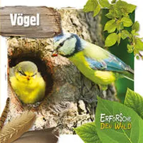 Twiddy |  Vögel | Buch |  Sack Fachmedien