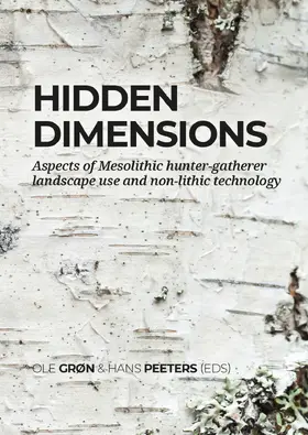 Grøn / Peeters |  Hidden dimensions | Buch |  Sack Fachmedien