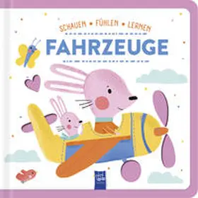 Schauen - Fühlen - Lernen: Fahrzeuge | Buch |  Sack Fachmedien