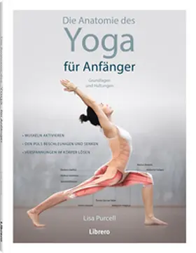 Purcell |  Die Anatomie des Yoga für Anfänger | Buch |  Sack Fachmedien