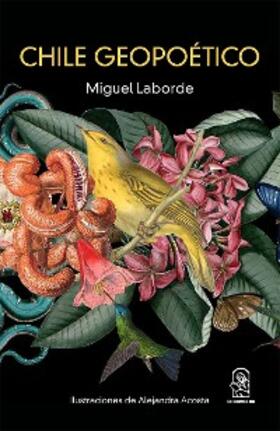 Laborde |  Chile geopoético | eBook | Sack Fachmedien