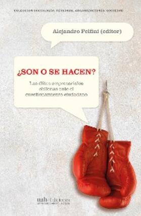 Pelfini |  ¿Son o se hacen? | eBook | Sack Fachmedien