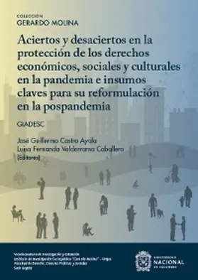 Paulsen Cárdenas / Ochoa Guio / Casallas |  Aciertos y desaciertos en la protección de los derechos económicos sociales y culturales en la pandemia e insumos claves para su reformulación en la pospandemia | eBook | Sack Fachmedien