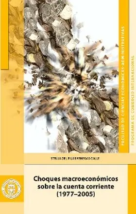 Venegas del Calle |  Choques macroeconómicos sobre la cuenta corriente (1977-2005) | eBook | Sack Fachmedien