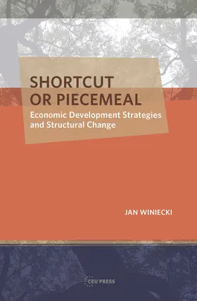 Winiecki |  Shortcut or Piecemeal | Buch |  Sack Fachmedien