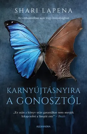 Lapena |  Karnyújtásnyira a gonosztól | eBook | Sack Fachmedien