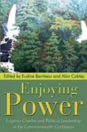 Barriteau / Cobley |  Enjoying Power | Buch |  Sack Fachmedien