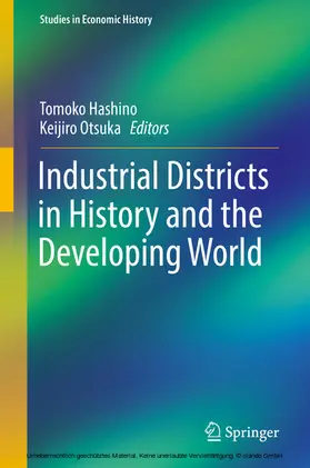 Hashino / Otsuka | Industrial Districts in History and the Developing World | E-Book | sack.de