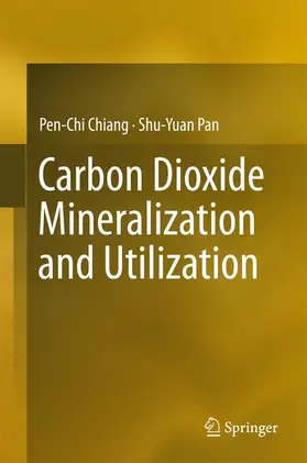 Pan / Chiang |  Carbon Dioxide Mineralization and Utilization | Buch |  Sack Fachmedien