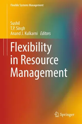 Sushil / Kulkarni / Singh |  Flexibility in Resource Management | Buch |  Sack Fachmedien