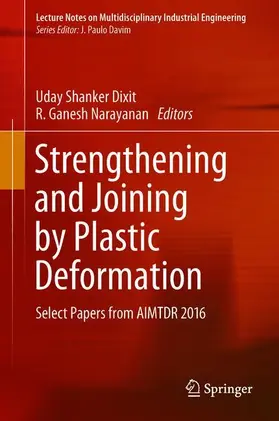 Narayanan / Dixit | Strengthening and Joining by Plastic Deformation | Buch | 978-981-13-0377-7 | sack.de