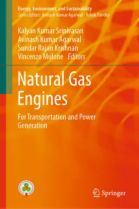 Srinivasan / Agarwal / Krishnan | Natural Gas Engines | E-Book | sack.de