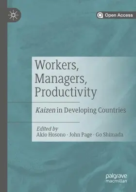Hosono / Page / Shimada |  Workers, Managers, Productivity | Buch |  Sack Fachmedien