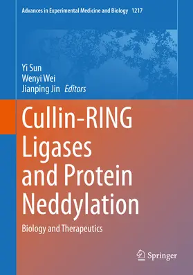 Sun / Wei / Jin | Cullin-RING Ligases and Protein Neddylation | E-Book | sack.de