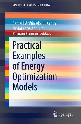 Karim / Abdullah / Kannan |  Practical Examples of Energy Optimization Models | eBook | Sack Fachmedien