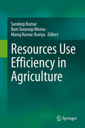 Kumar / Meena / Jhariya | Resources Use Efficiency in Agriculture | E-Book | sack.de
