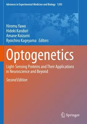 Yawo / Kandori / Koizumi |  Optogenetics | Buch |  Sack Fachmedien