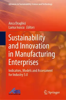 Ivascu / Draghici |  Sustainability and Innovation in Manufacturing Enterprises | Buch |  Sack Fachmedien