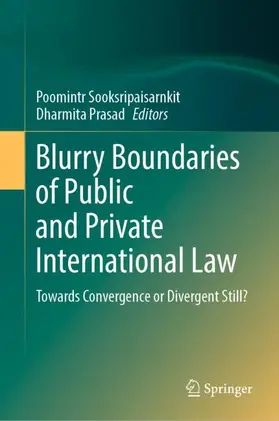 Prasad / Sooksripaisarnkit |  Blurry Boundaries of Public and Private International Law | Buch |  Sack Fachmedien