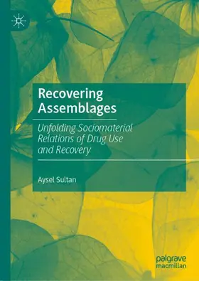 Sultan | Recovering Assemblages | Buch | 978-981-19-1234-4 | www2.sack.de
