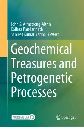 Armstrong-Altrin / Verma / Pandarinath |  Geochemical Treasures and Petrogenetic Processes | Buch |  Sack Fachmedien