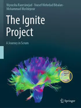 Raeesinejad / Mehrdad Bibalan / Moshirpour | The Ignite Project | E-Book | sack.de