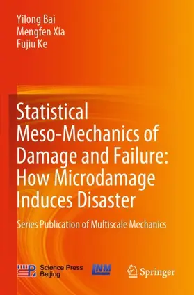 Bai / Ke / Xia |  Statistical Meso-Mechanics of Damage and Failure: How Microdamage Induces Disaster | Buch |  Sack Fachmedien