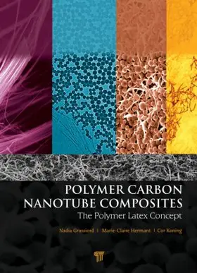 Koning / Hermant / Grossiord | Polymer Carbon Nanotube Composites | Buch | 978-981-4310-93-2 | sack.de