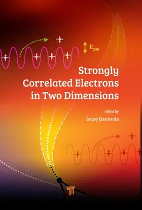 Kravchenko |  Strongly Correlated Electrons in Two Dimensions | Buch |  Sack Fachmedien
