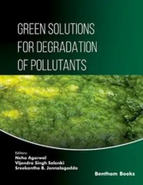 Agarwal / Solanki / Jonnalagadda |  Green Solutions for Degradation of Pollutants | eBook | Sack Fachmedien
