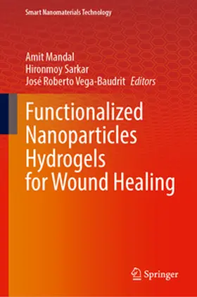 Mandal / Sarkar / Vega-Baudrit |  Functionalized Nanoparticles Hydrogels for Wound Healing | eBook | Sack Fachmedien