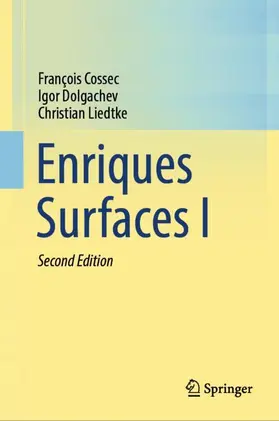 Cossec / Liedtke / Dolgachev |  Enriques Surfaces I | Buch |  Sack Fachmedien