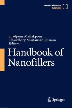 Mallakpour / Hussain |  Handbook of Nanofillers | Buch |  Sack Fachmedien