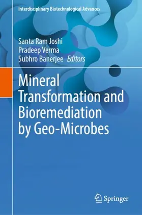 Joshi / Banerjee / Verma |  Mineral Transformation and Bioremediation by Geo-Microbes | Buch |  Sack Fachmedien