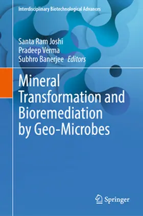 Joshi / Verma / Banerjee |  Mineral Transformation and Bioremediation by Geo-Microbes | eBook | Sack Fachmedien