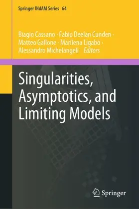 Cassano / Cunden / Gallone |  Singularities, Asymptotics, and Limiting Models | Buch |  Sack Fachmedien