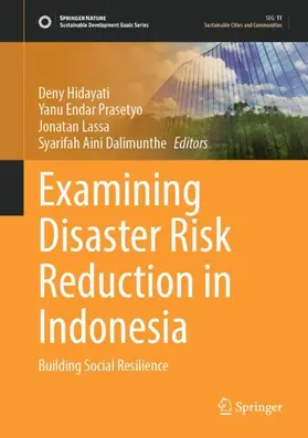 Hidayati / Prasetyo / Lassa |  Examining Disaster Risk Reduction in Indonesia | Buch |  Sack Fachmedien