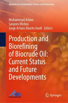 Aslam / Mishra / Aburto Anell | Production and Biorefining of Biocrude Oil: Current Status and Future Developments | Buch | 978-981-965197-9 | sack.de