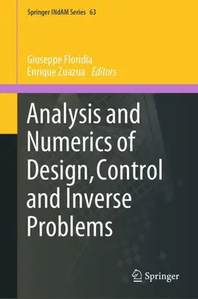 Floridia / Zuazua |  Analysis and Numerics of Design, Control and Inverse Problems | Buch |  Sack Fachmedien
