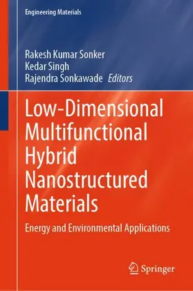 Sonker / Singh / Sonkawade |  Low-Dimensional Multifunctional Hybrid Nanostructured Materials | Buch |  Sack Fachmedien