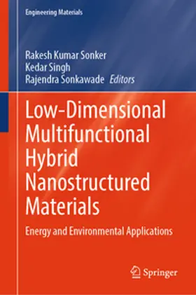 Sonker / Singh / Sonkawade |  Low-Dimensional Multifunctional Hybrid Nanostructured Materials | eBook | Sack Fachmedien