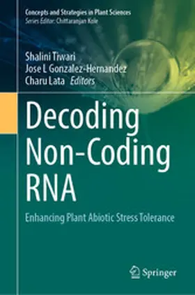 Tiwari / Gonzalez-Hernandez / Lata |  Decoding Non-Coding RNA | eBook | Sack Fachmedien