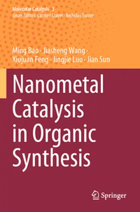 Bao / Wang / Feng |  Nanometal Catalysis in Organic Synthesis | Buch |  Sack Fachmedien