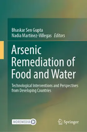 Sen Gupta / Martínez-Villegas |  Arsenic Remediation of Food and Water | eBook | Sack Fachmedien