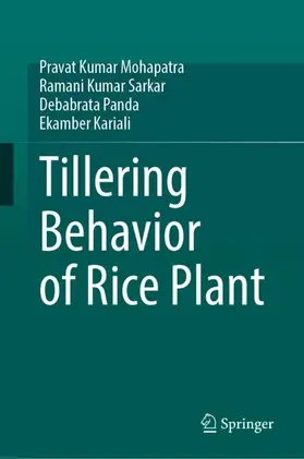 Mohapatra / Sarkar / Panda |  Tillering Behavior of Rice Plant | Buch |  Sack Fachmedien