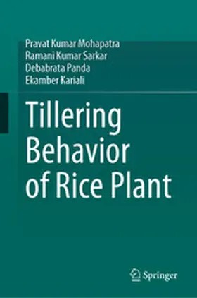 Mohapatra / Sarkar / Panda |  Tillering Behavior of Rice Plant | eBook | Sack Fachmedien