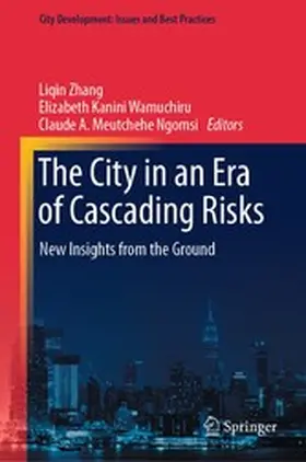 Zhang / Kanini Wamuchiru / Meutchehe Ngomsi | The City in an Era of Cascading Risks | E-Book | sack.de