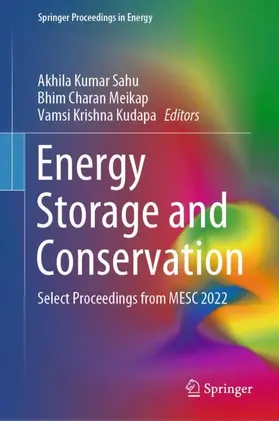 Sahu / Kudapa / Meikap |  Energy Storage and Conservation | Buch |  Sack Fachmedien